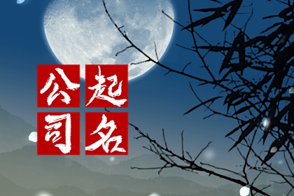 100个不重名公司名称 冷僻不常见的公司名字